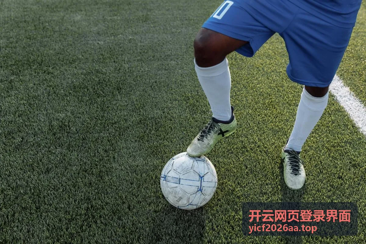 开云网页登录界面的账号填写区域示意