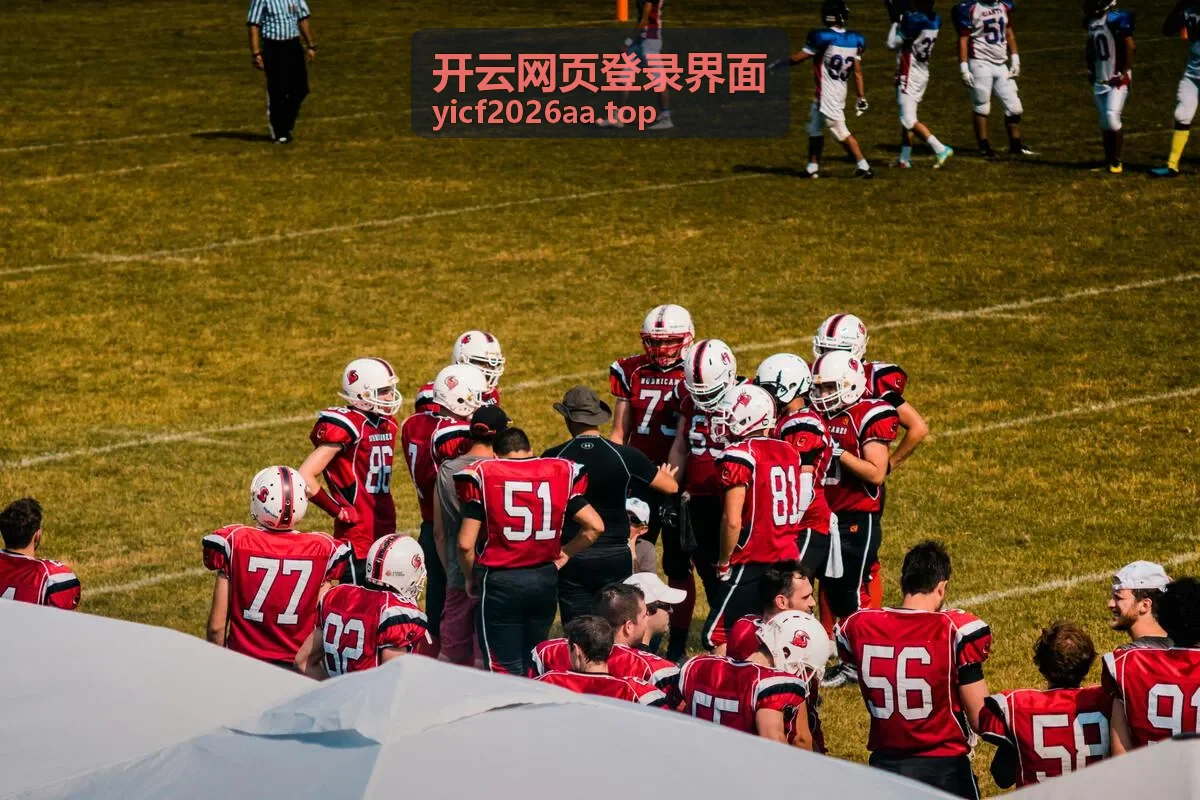 开云网页登录界面字段报错与重试处理